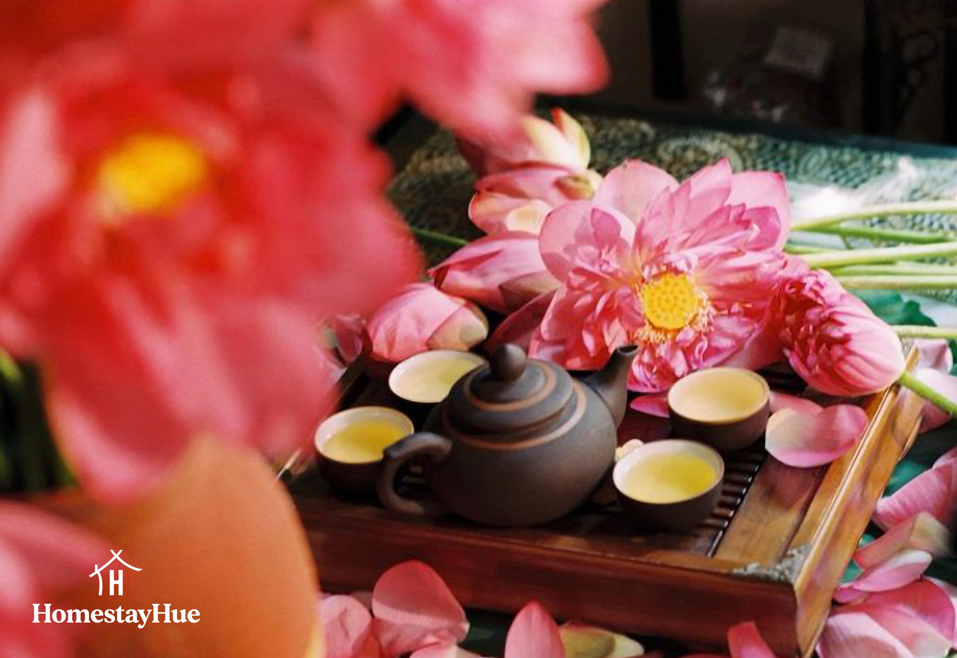 Trà sen Huế: Hương vị tinh khiết của sự tĩnh tại