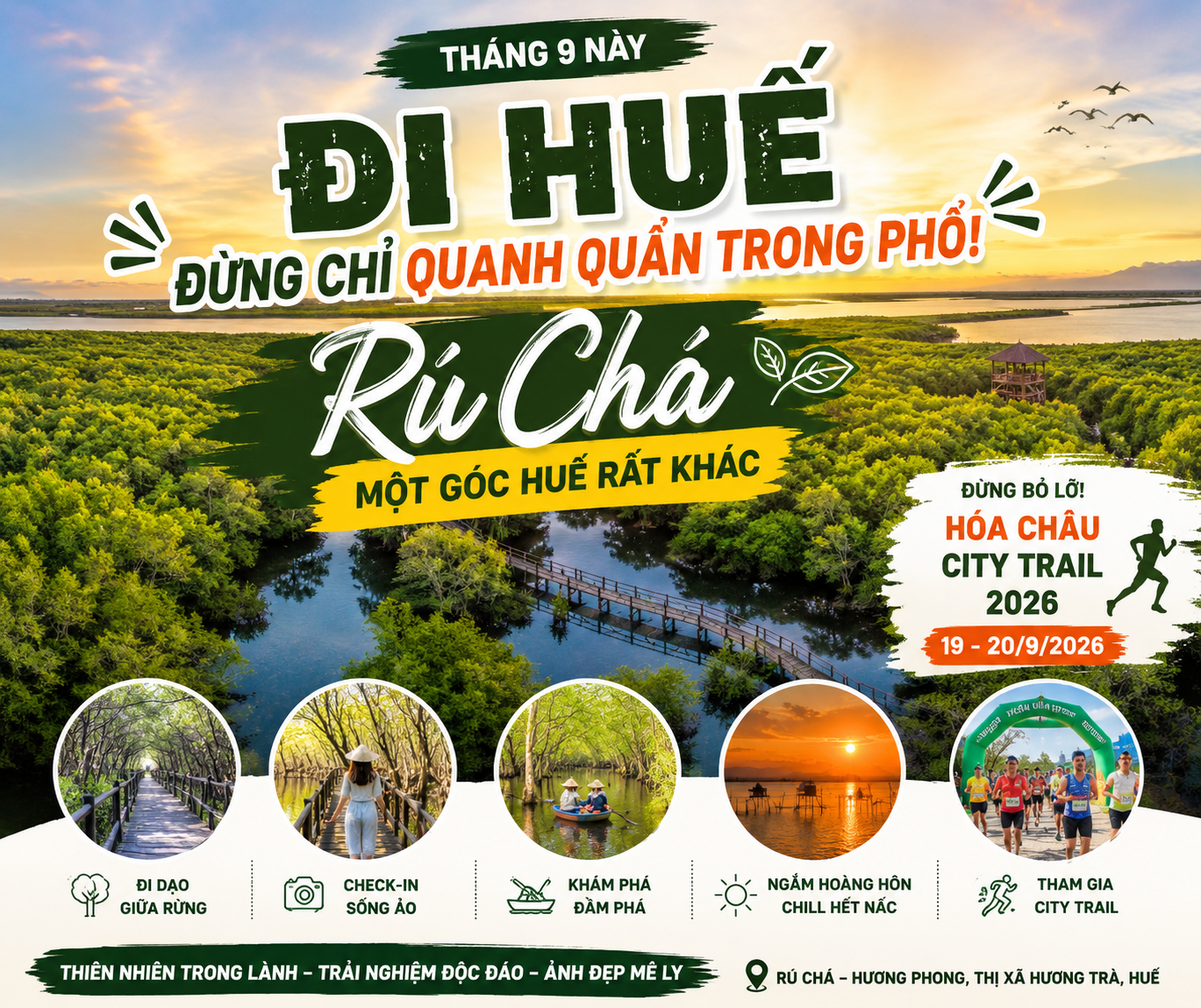 Rừng ngập mặn Rú Chá Huế: Kinh nghiệm khám phá tháng 9