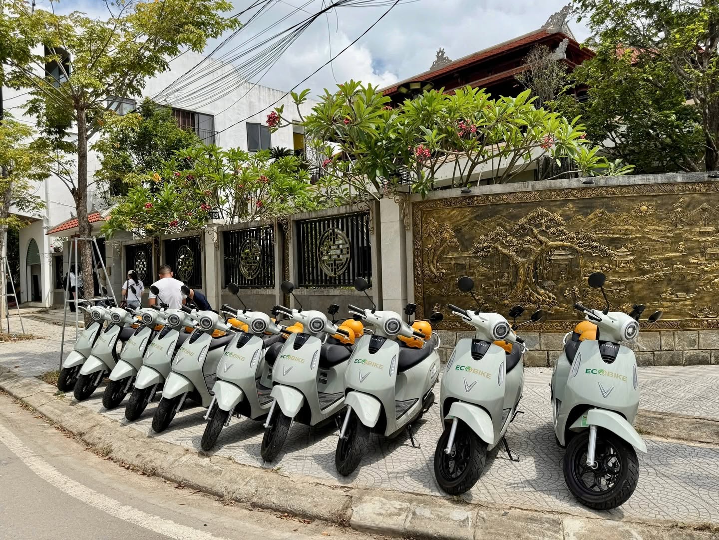 Thuê Xe Điện Huế Giá Rẻ Tại Homestay Huế