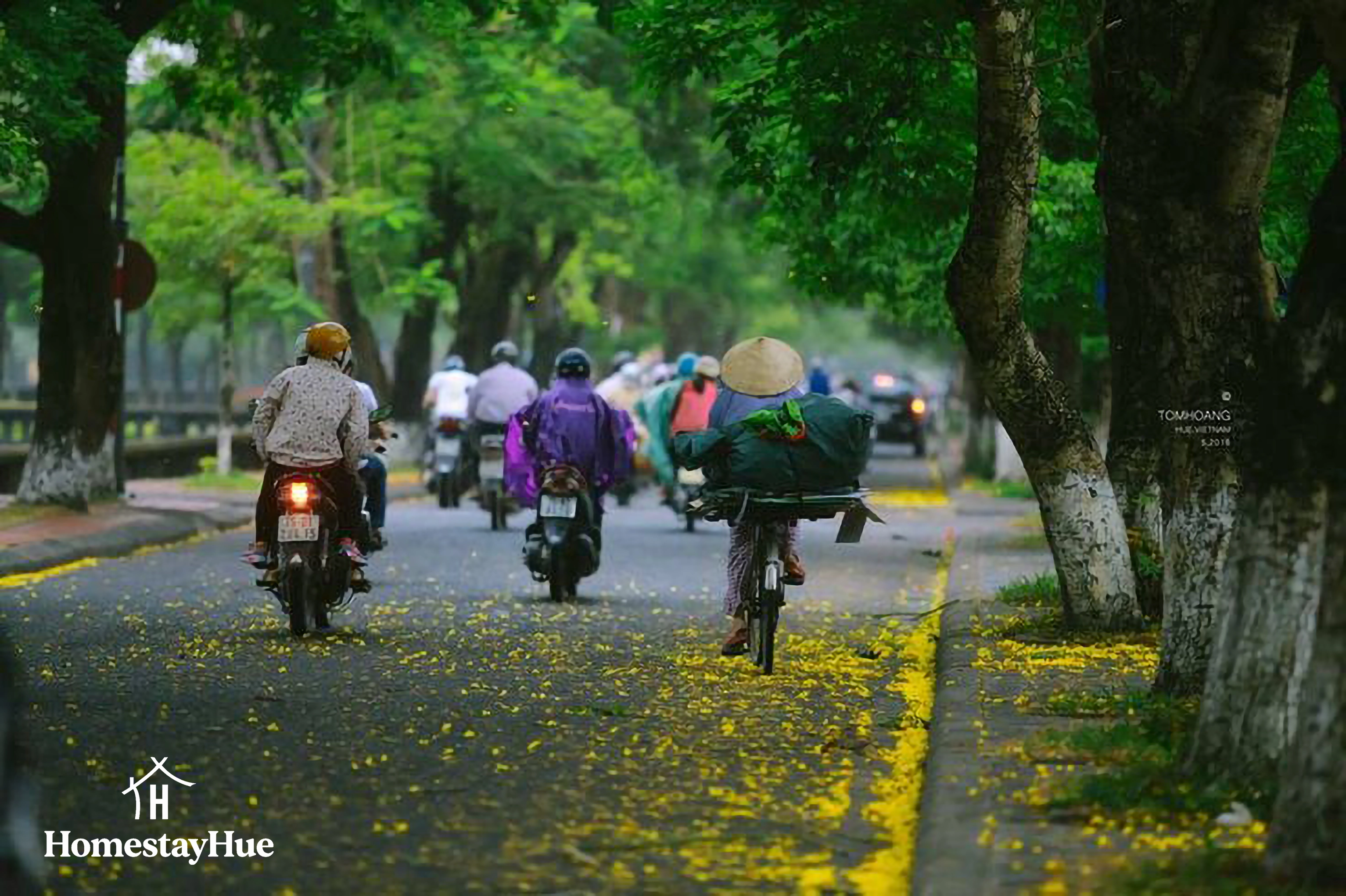 Người Huế sống chậm giữa thiên nhiên dịu dàng