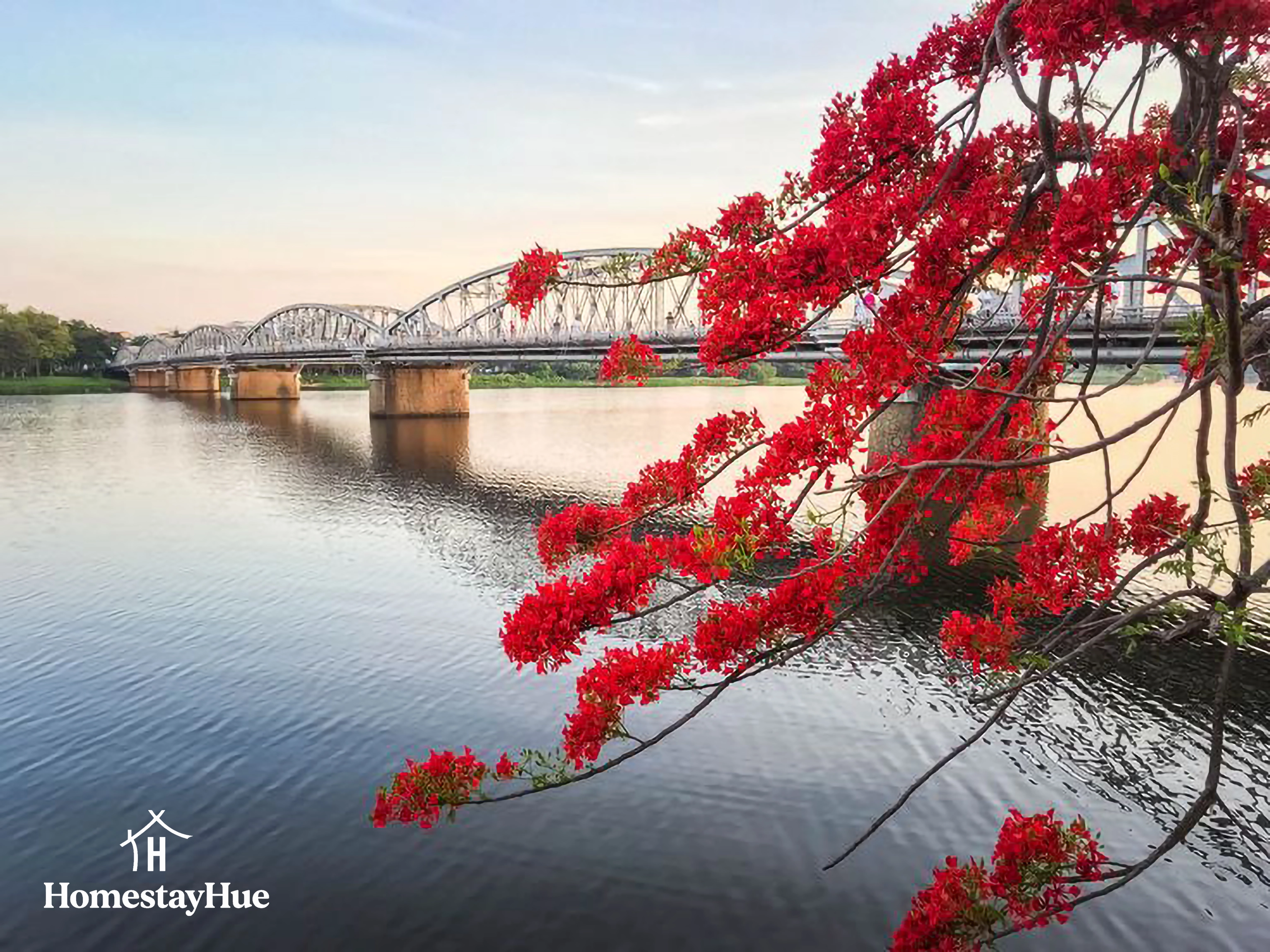 Huế mùa hoa phượng, hoa điệp: Nhịp bước của thời gian