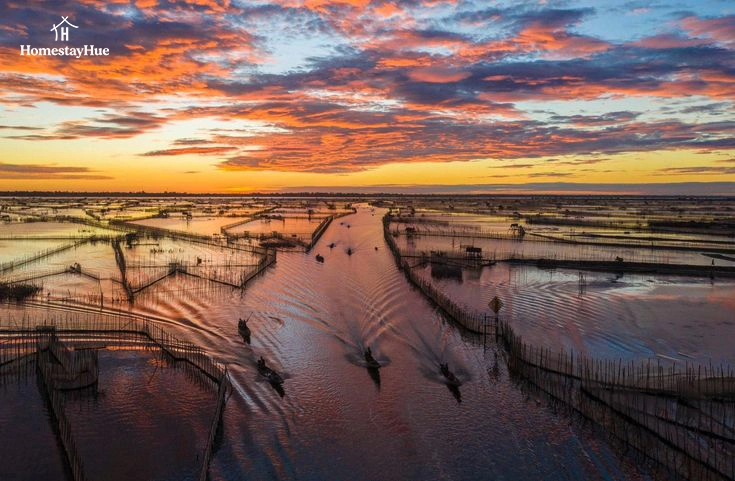 Khám phá vẻ đẹp hoang sơ của Phá Tam Giang