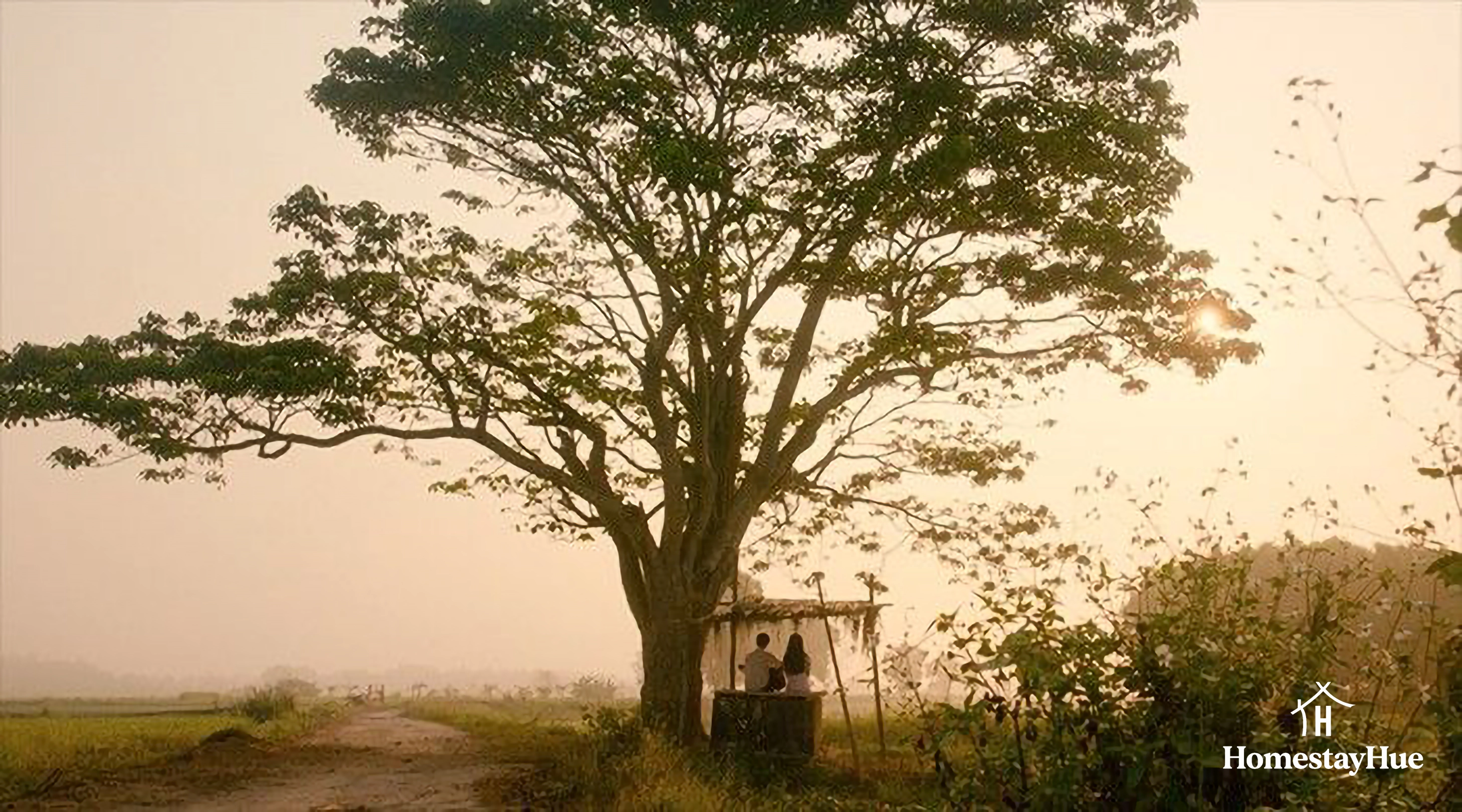 Nỗi buồn ở Huế: Chút trầm tư để chữa lành tâm hồn