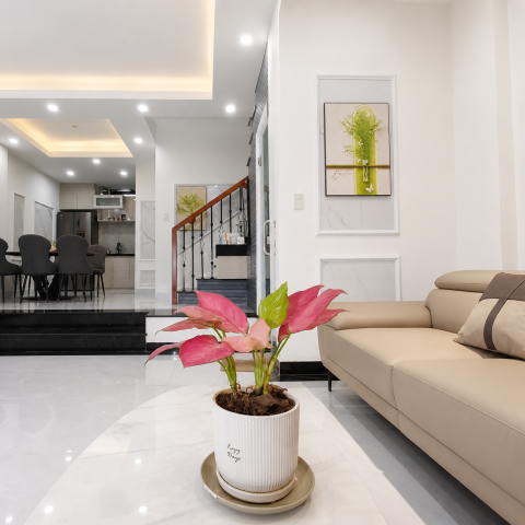 CĂN HỘ HOA ANH ĐÀO