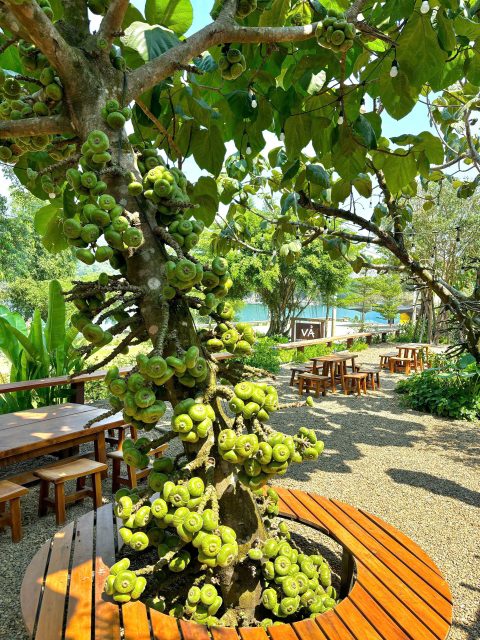 VẢ RIVERSIDE RETREAT