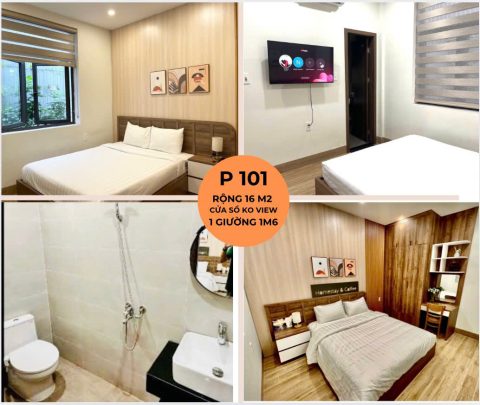 Phòng đơn P101